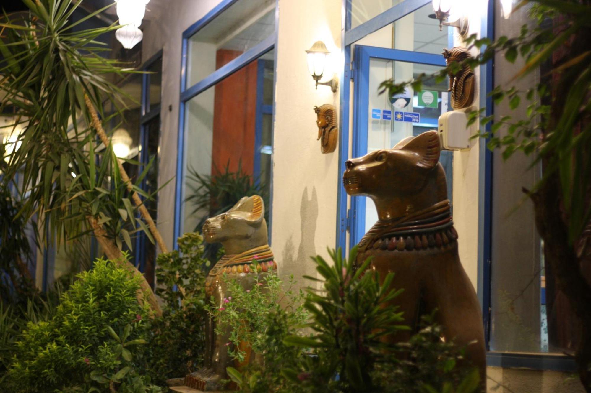 El Gezira Garden Hotel Λούξορ Εξωτερικό φωτογραφία