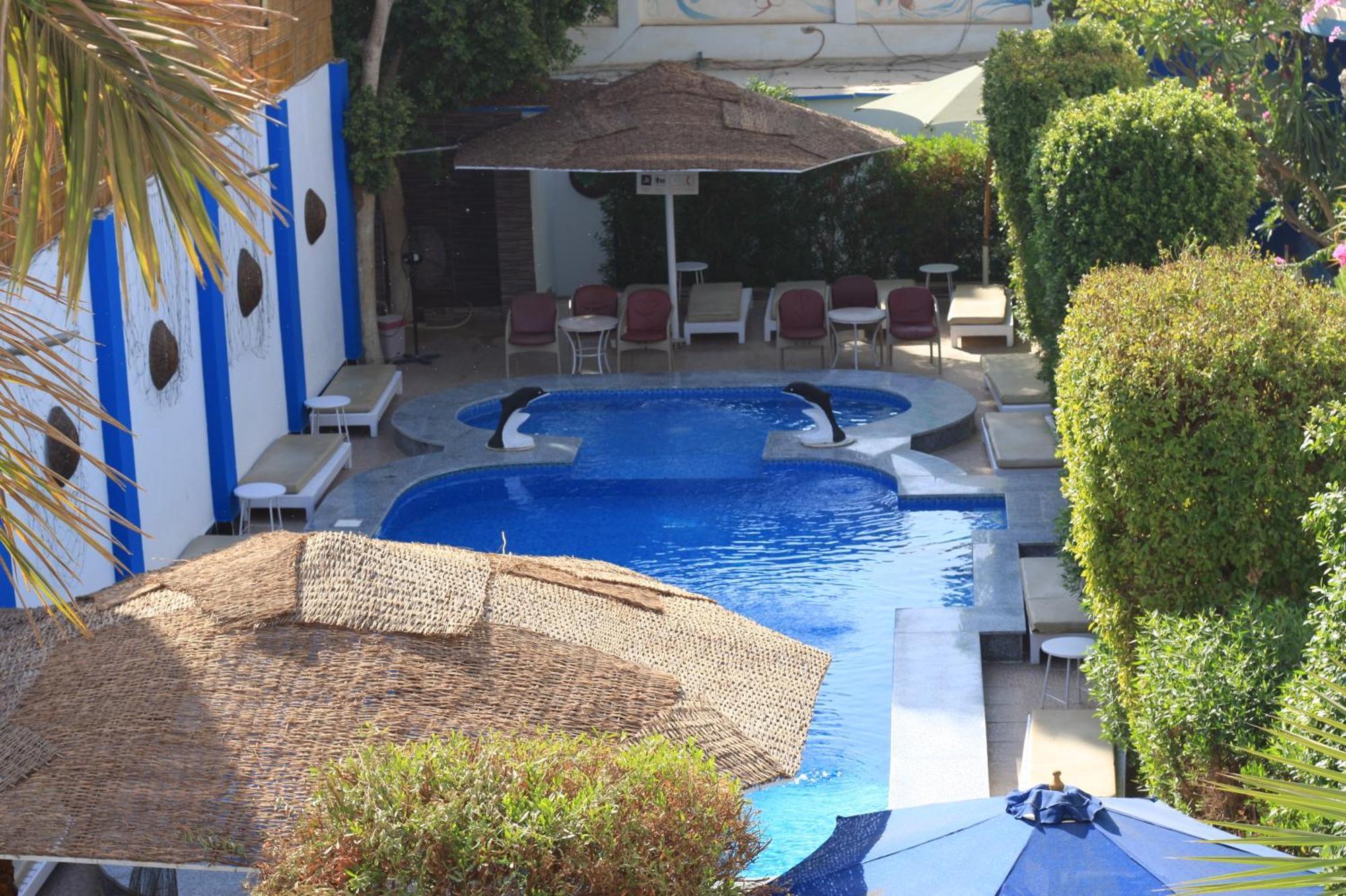 El Gezira Garden Hotel Λούξορ Εξωτερικό φωτογραφία