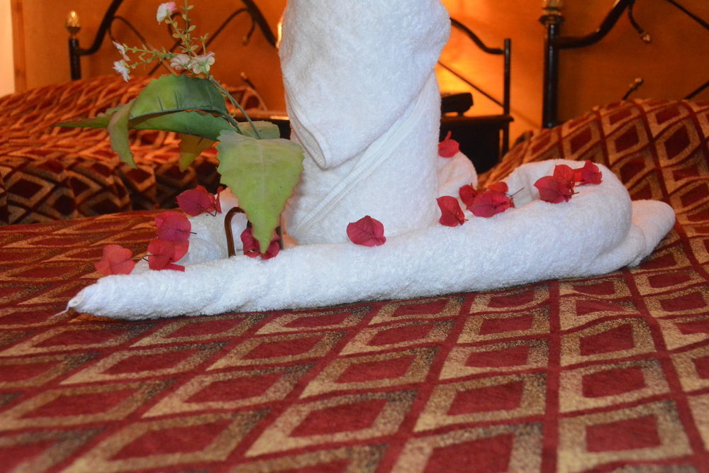 El Gezira Garden Hotel Λούξορ Εξωτερικό φωτογραφία