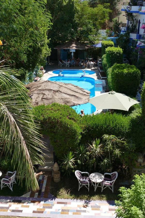El Gezira Garden Hotel Λούξορ Εξωτερικό φωτογραφία